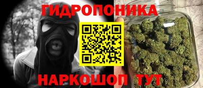 a pvp Тара